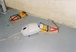 Redneck Mouse Trap