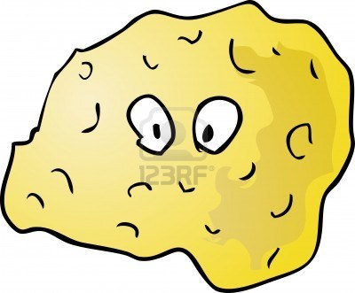 sponge