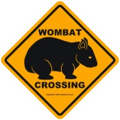 wombat crossing